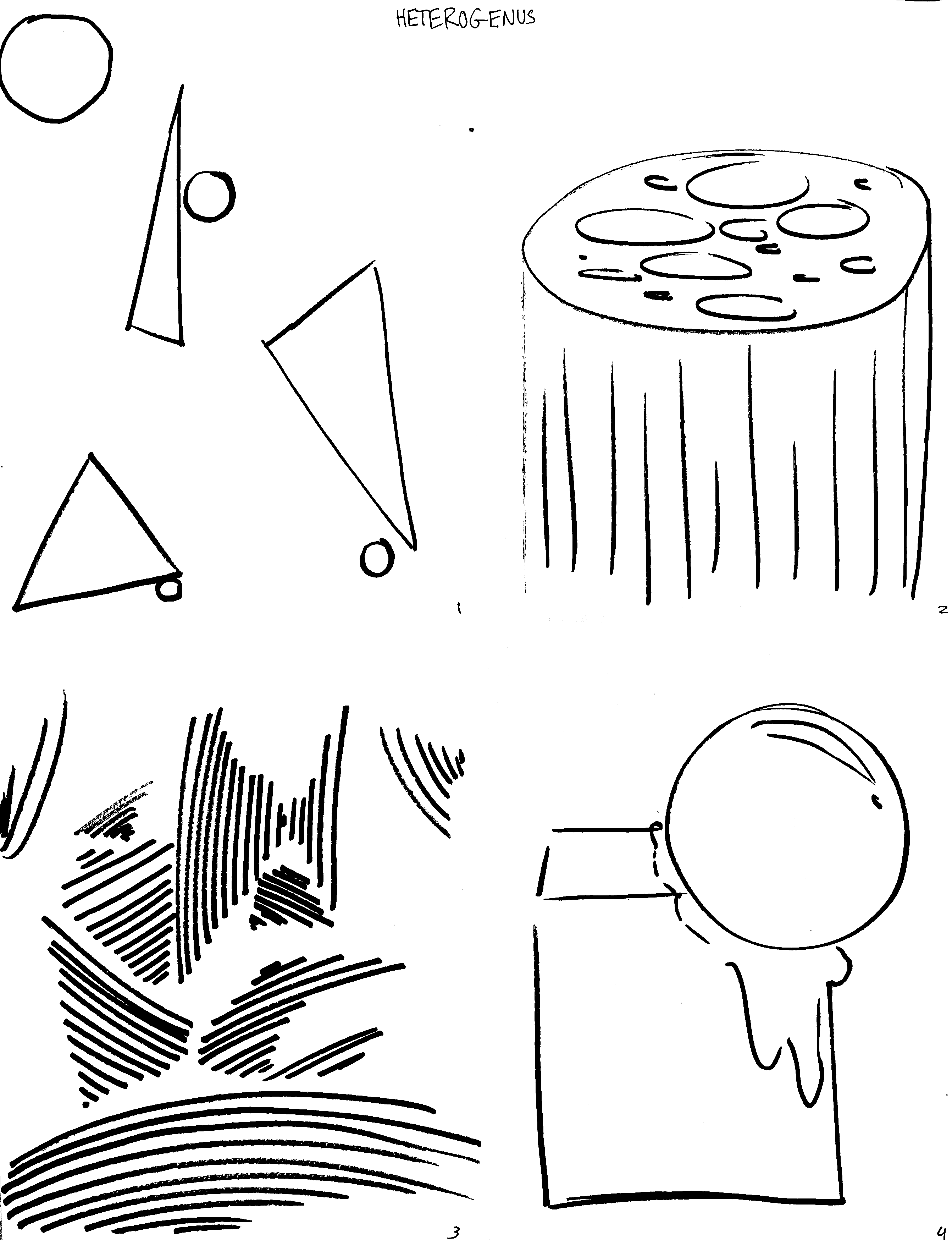 HETEROGENUS 1